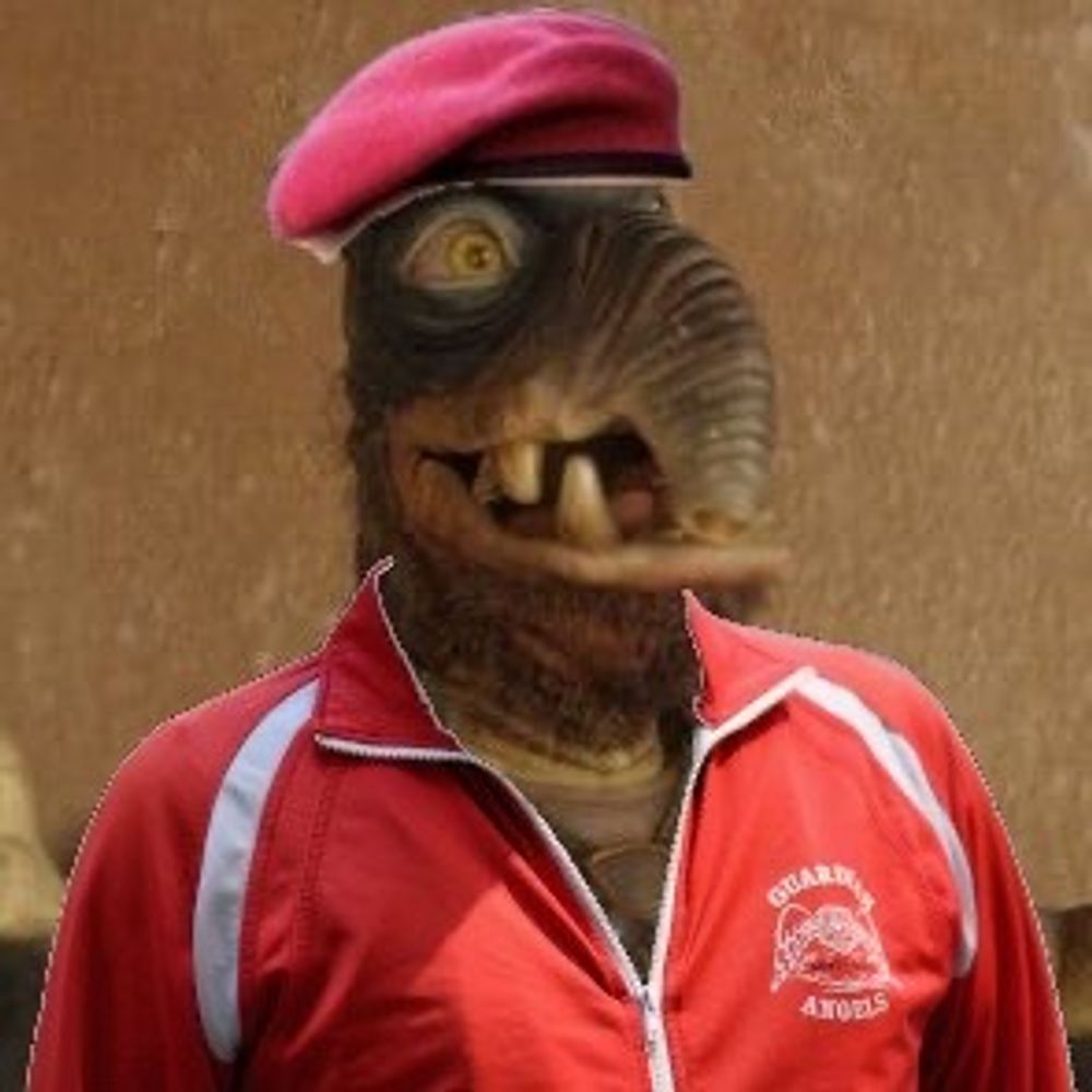 Curtis Sliwatto