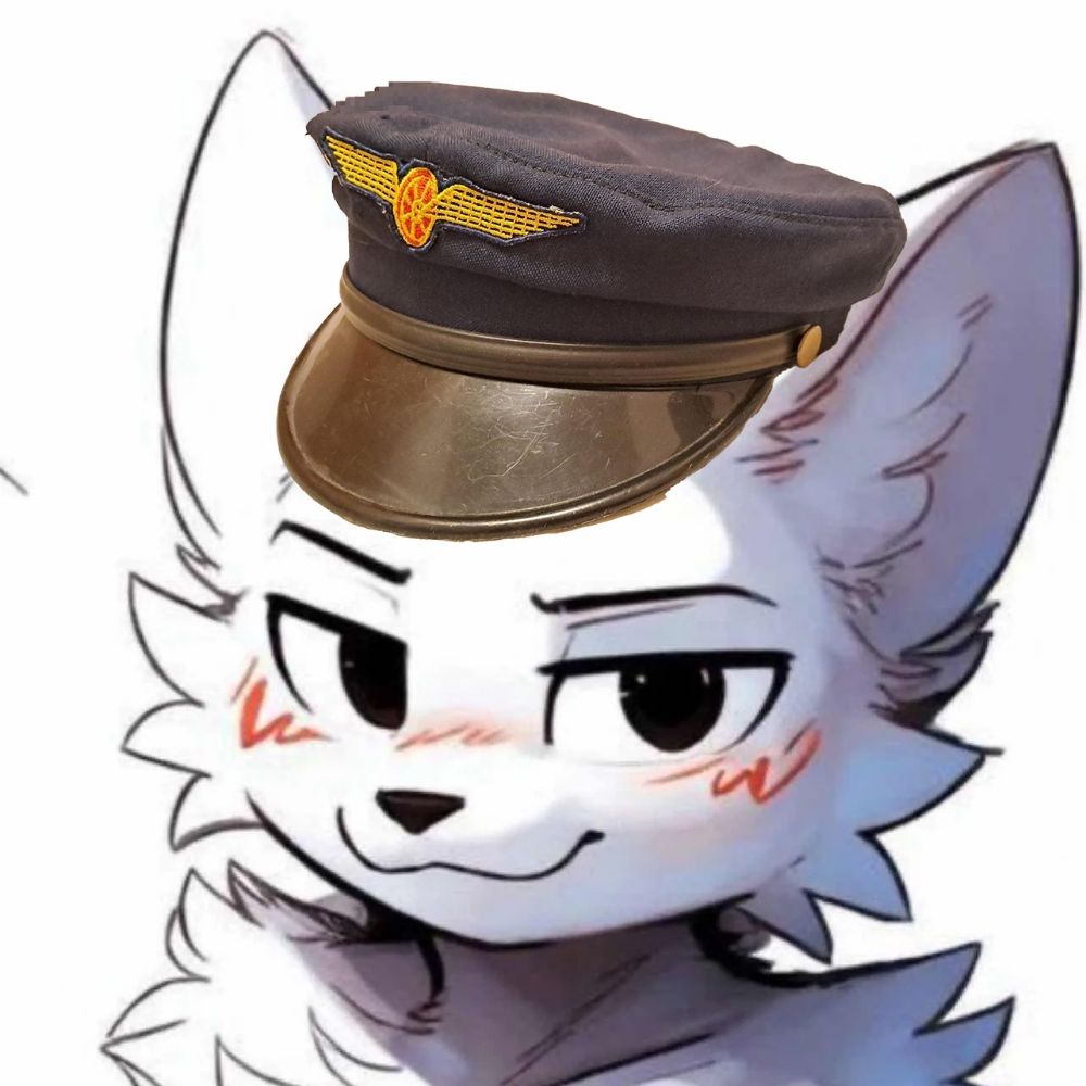 Benny The Trainfur
