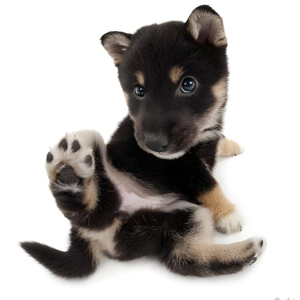 FURBLING