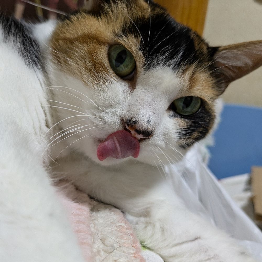 アミノ酸