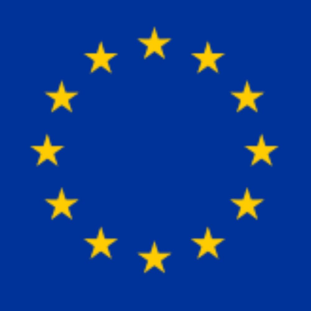 EU Delegation to the UK