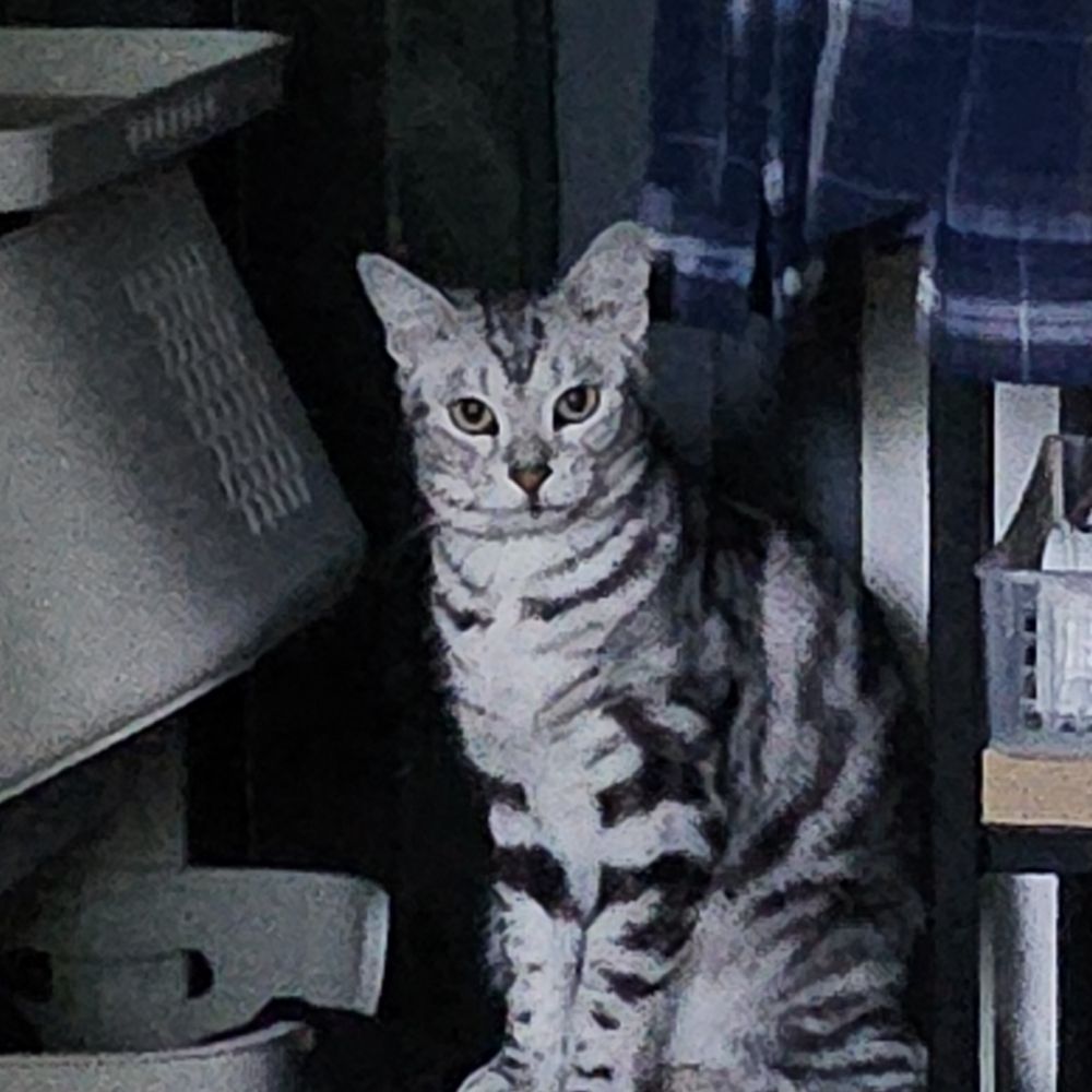 백연