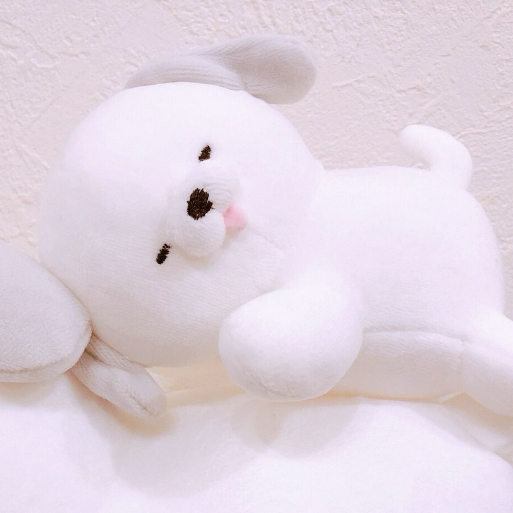 びす