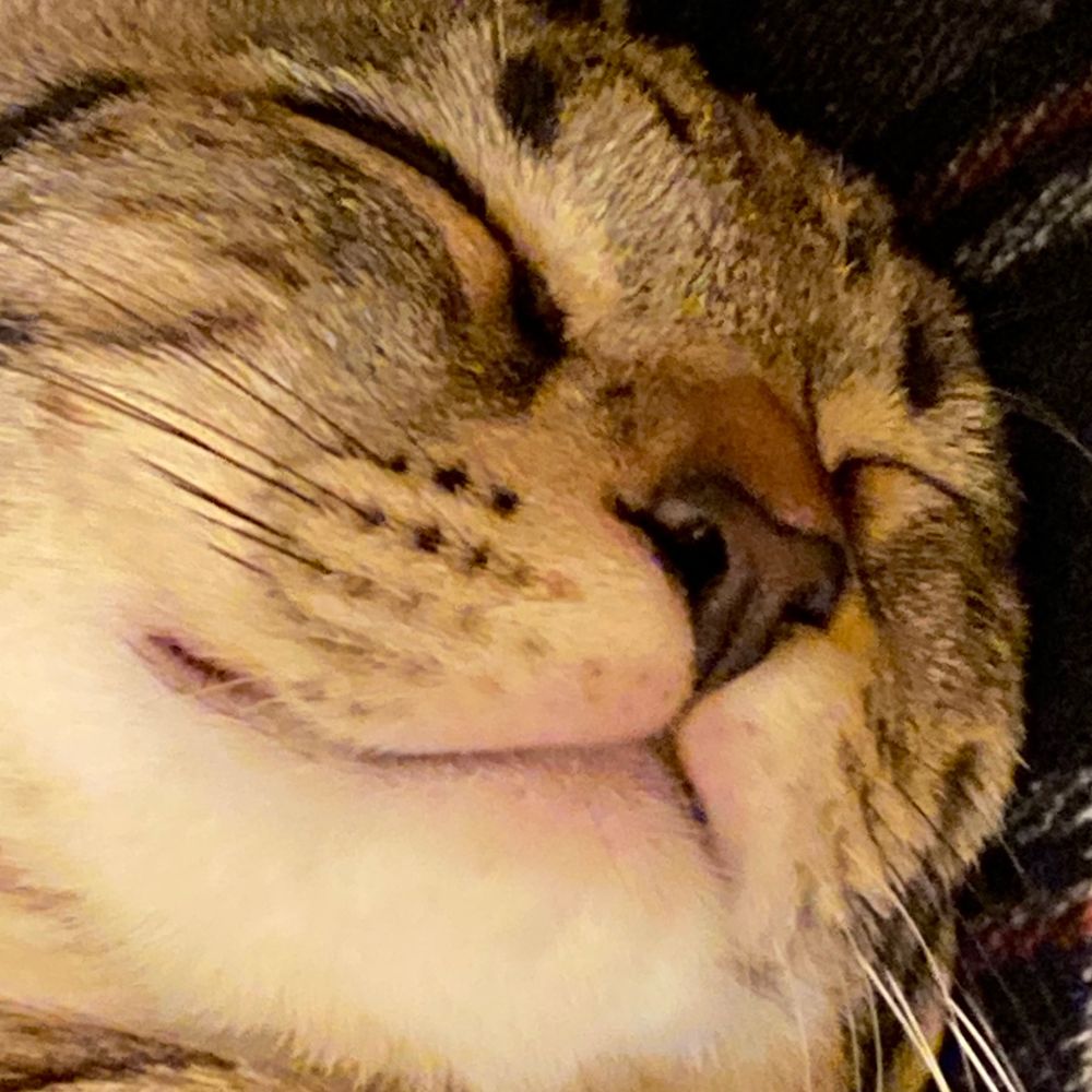 Karen 