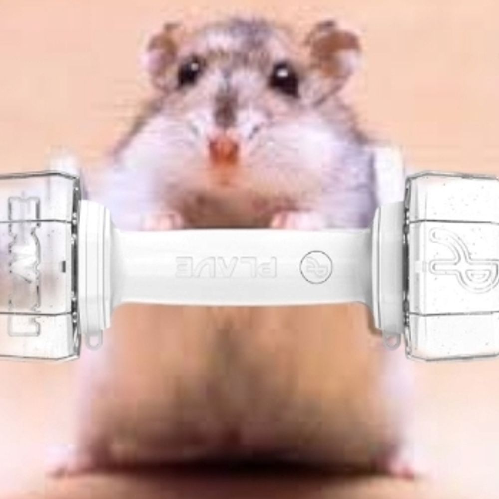 🐹დ햄찌냥დ🐹