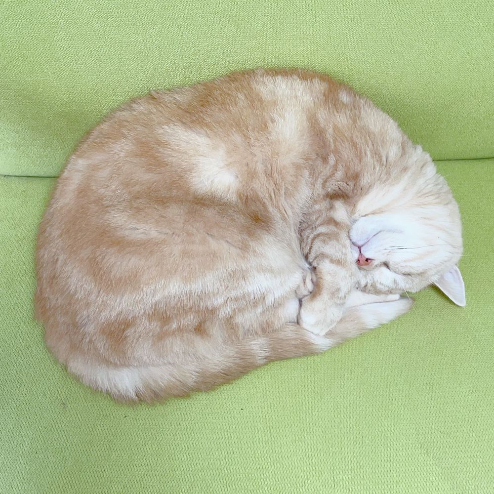 まっちゃん