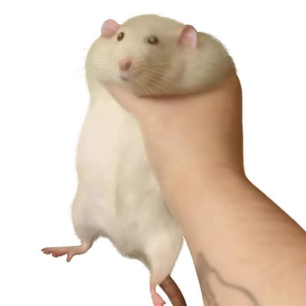 Hiru