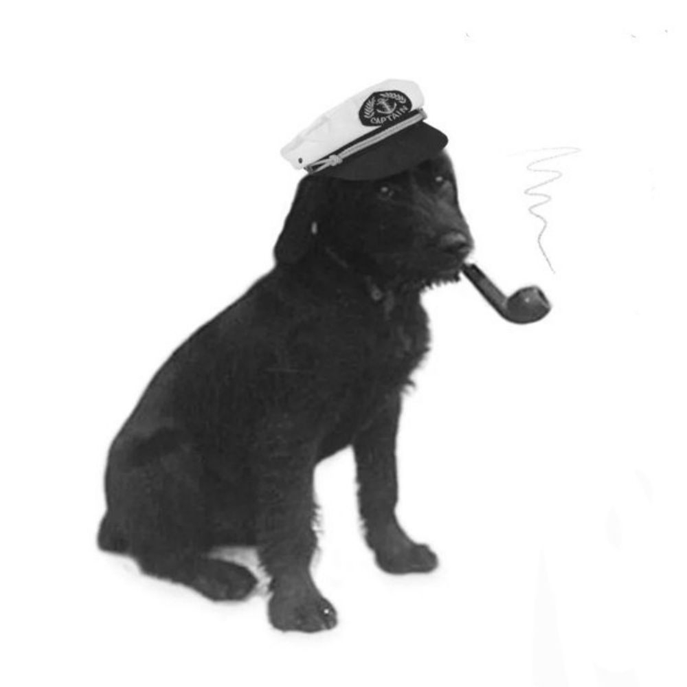 Seadog Radio Podcast