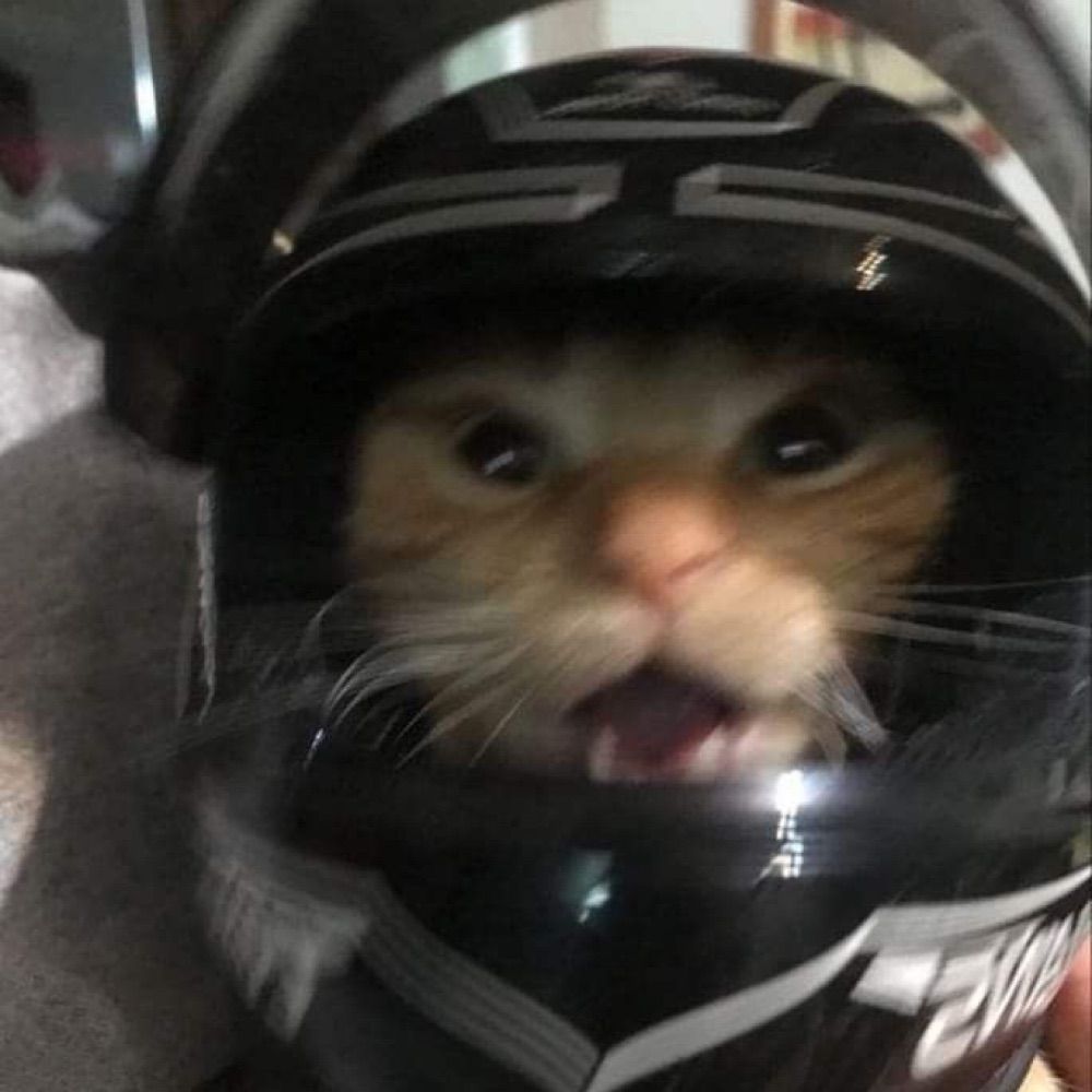 SŠÁÅĄĀÄÅÀÁÅĄRIIÍÏÌÎĮĪÂN