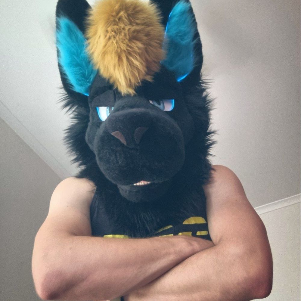 🐺 𝐑𝐞𝐱 𝐢𝐬 🔜 Your Room