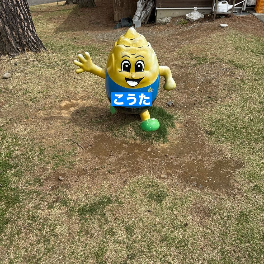 中村航太
