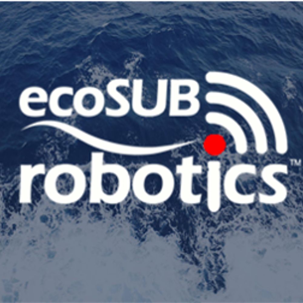 ecoSUB Robotics