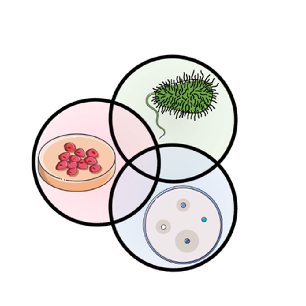 CANS - Centre for New Antibacterial Strategies