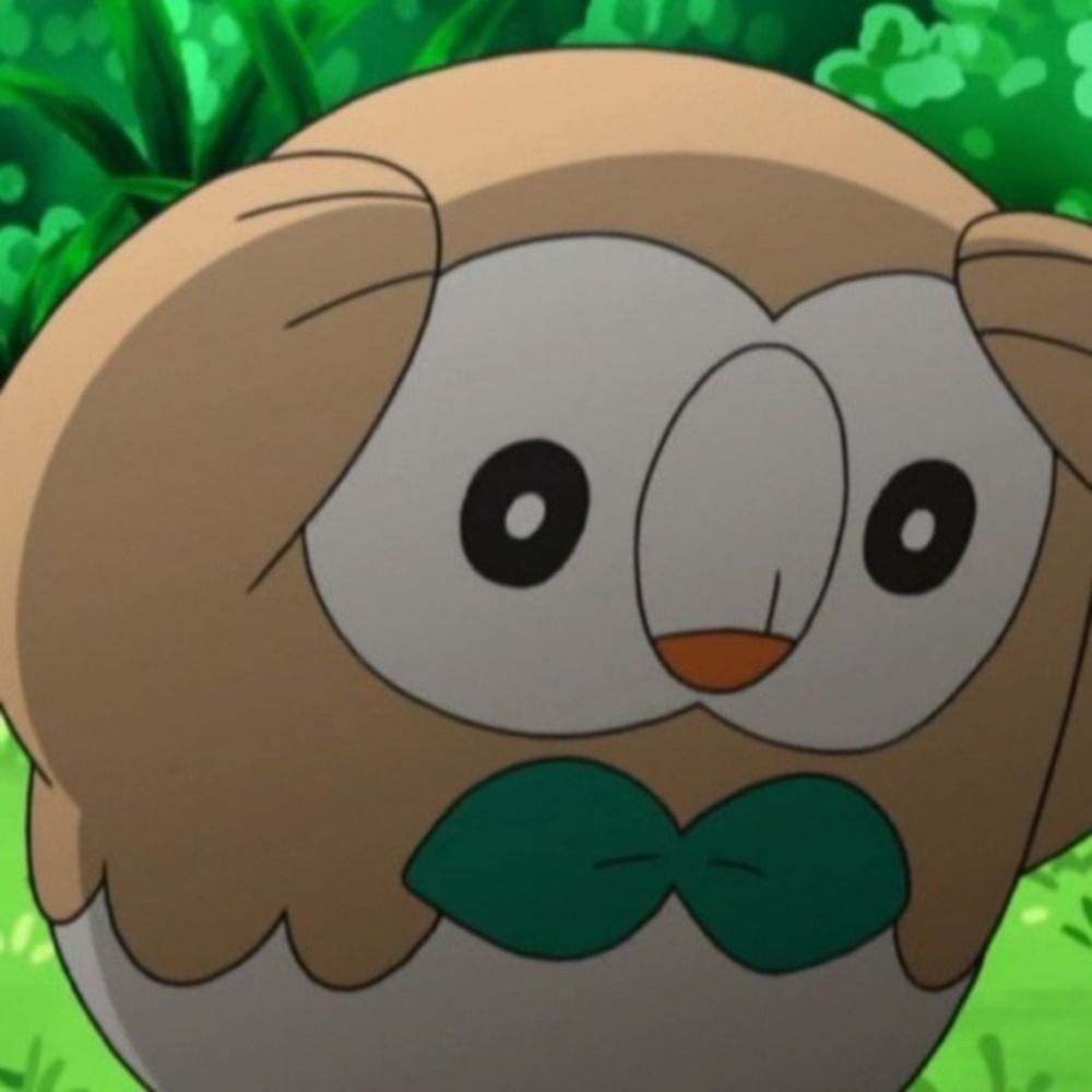 rowlet_hoot
