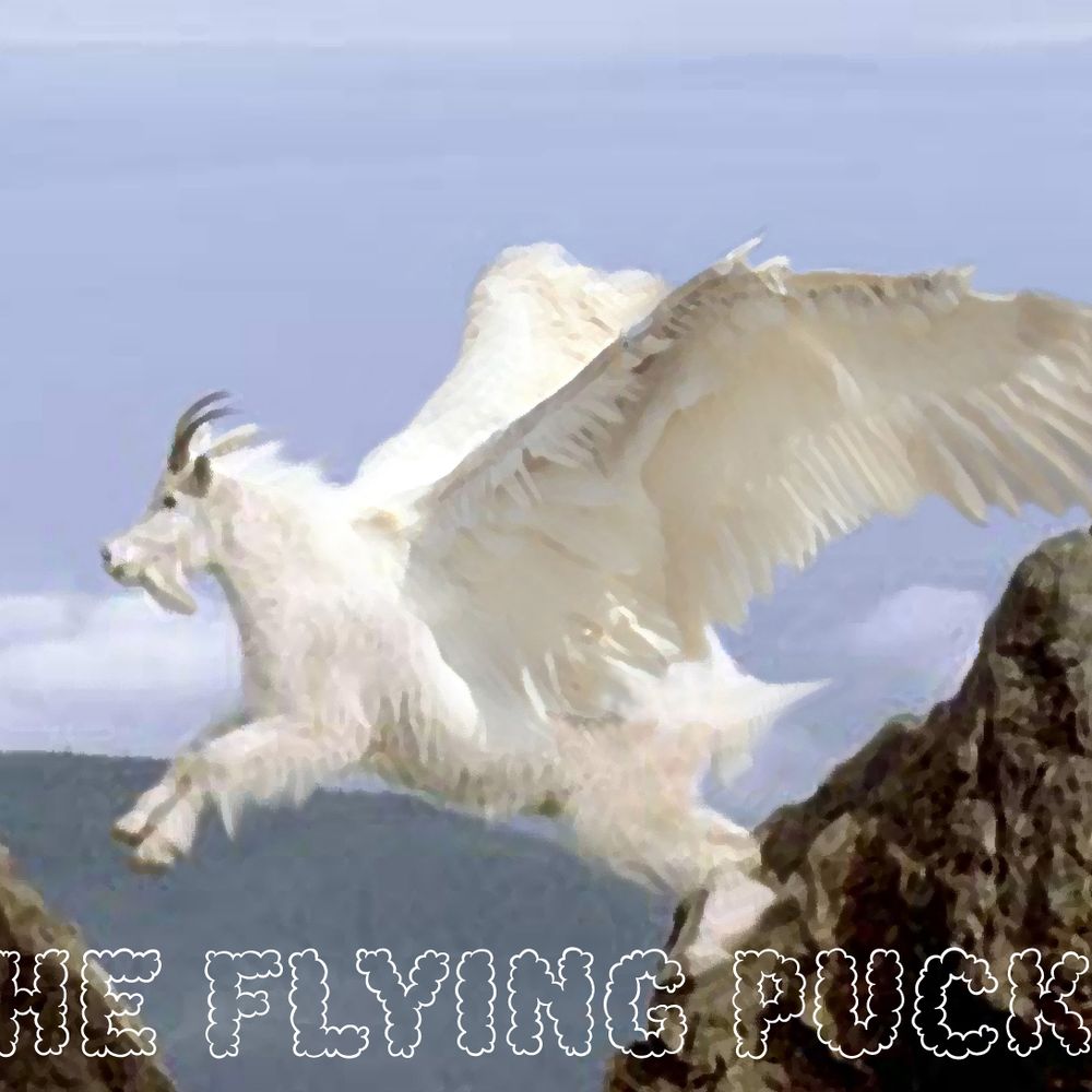 flyingpooka.bsky.social profile picture