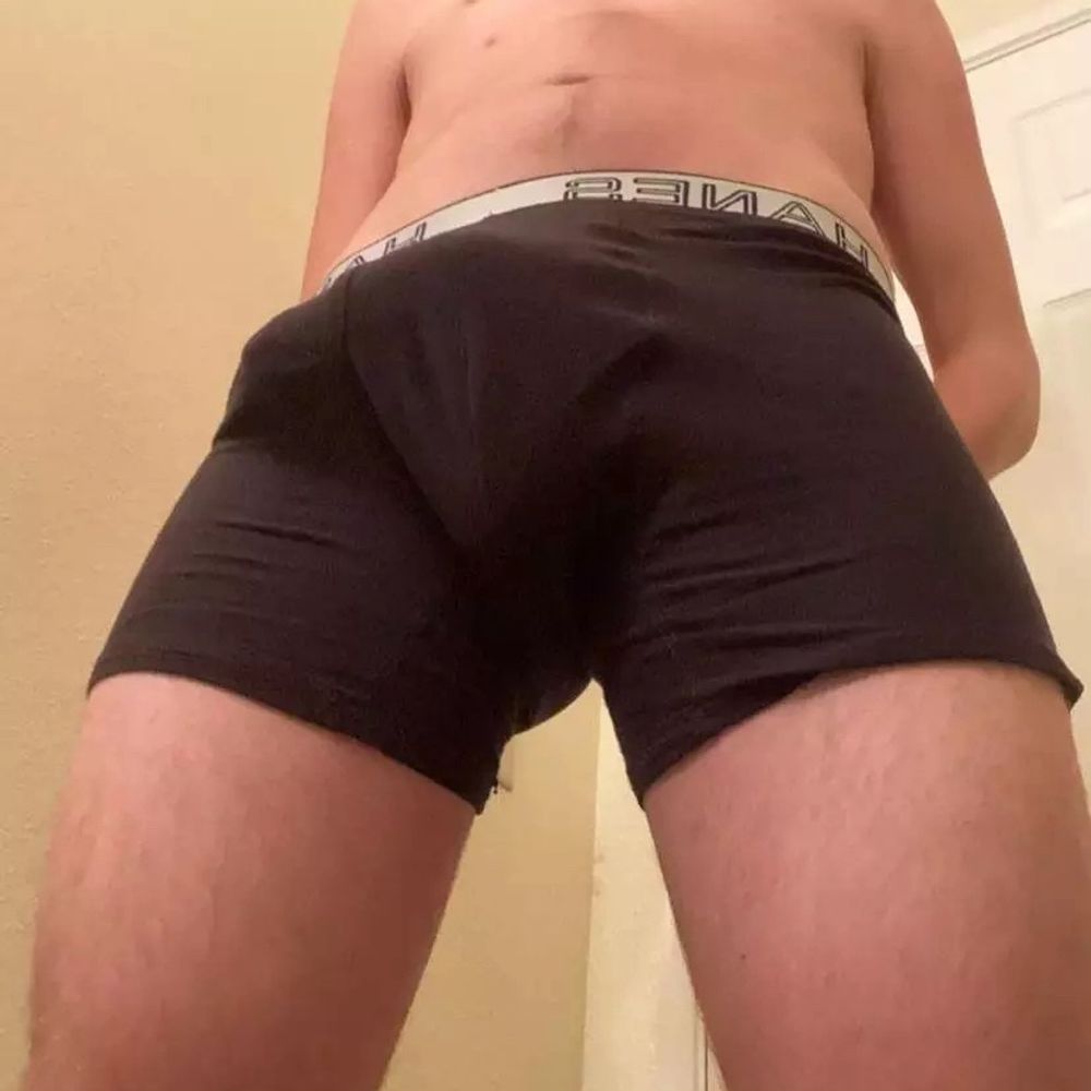 Alpha daddy