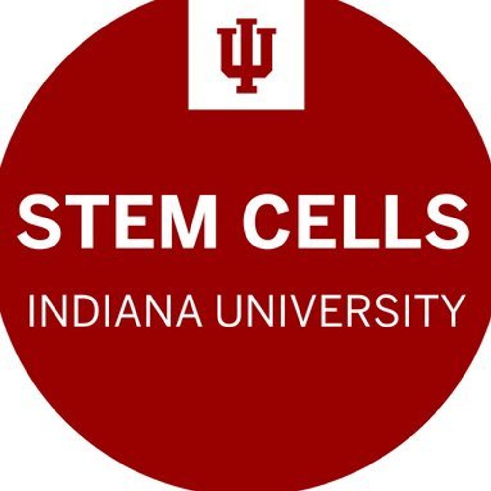 IUSM SNRI Stem Cell Research Group