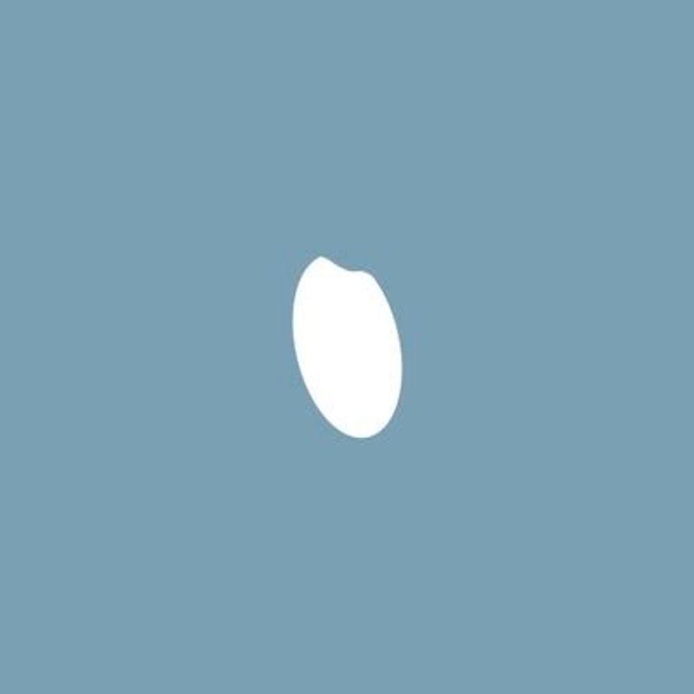 コメツブ🍚