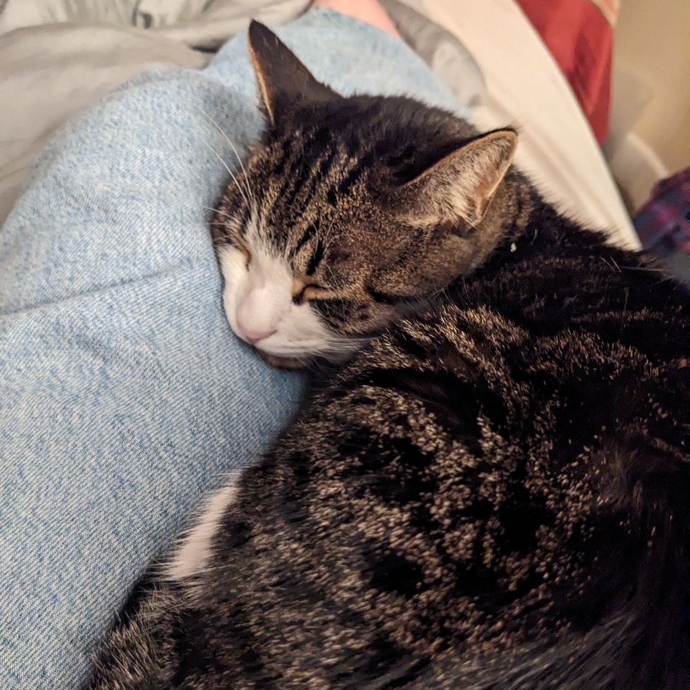Ellie