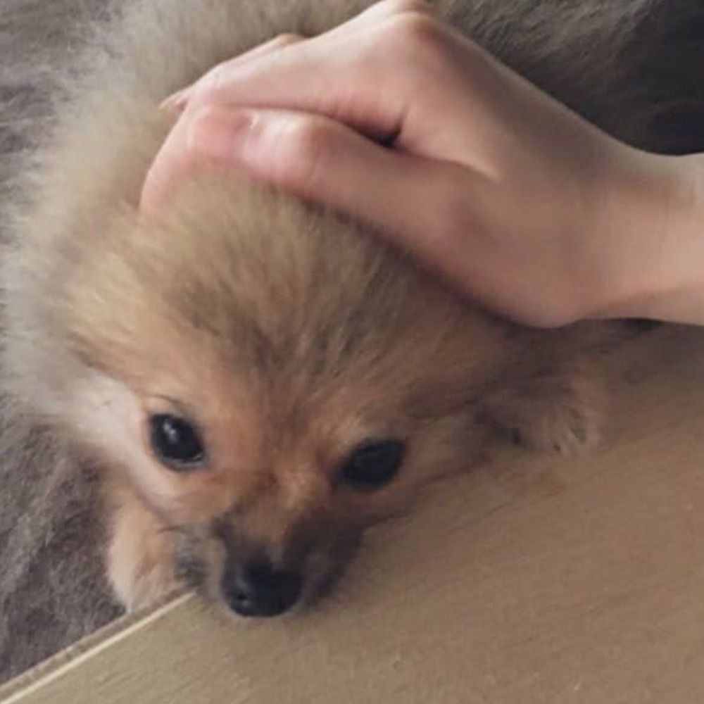 あさせ