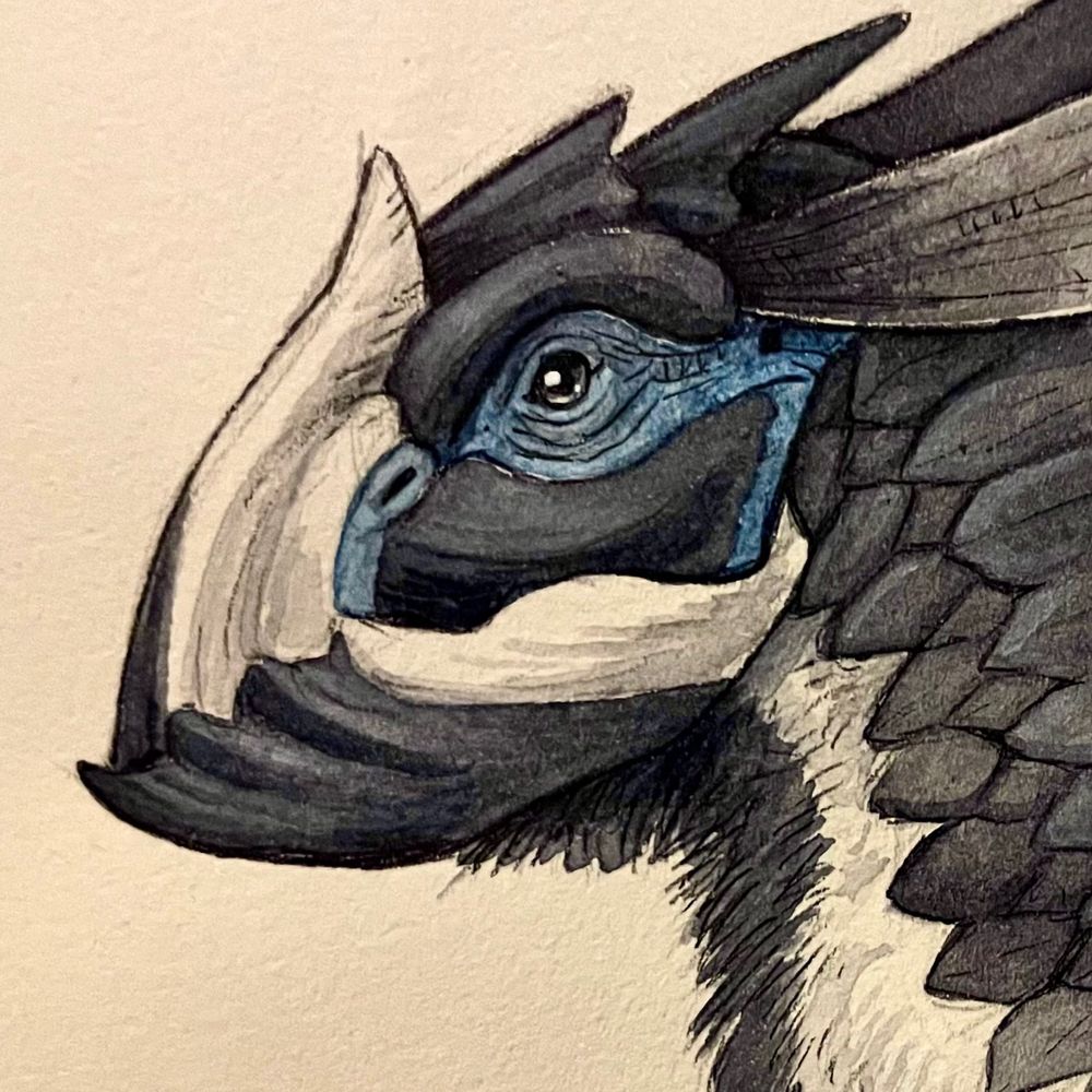 Tequila Mockingbird