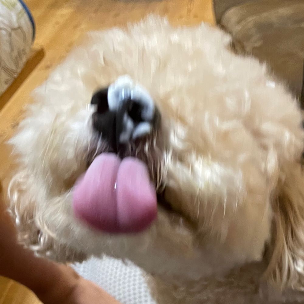 弁当箱