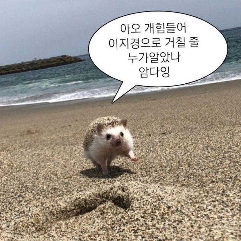 낫밤