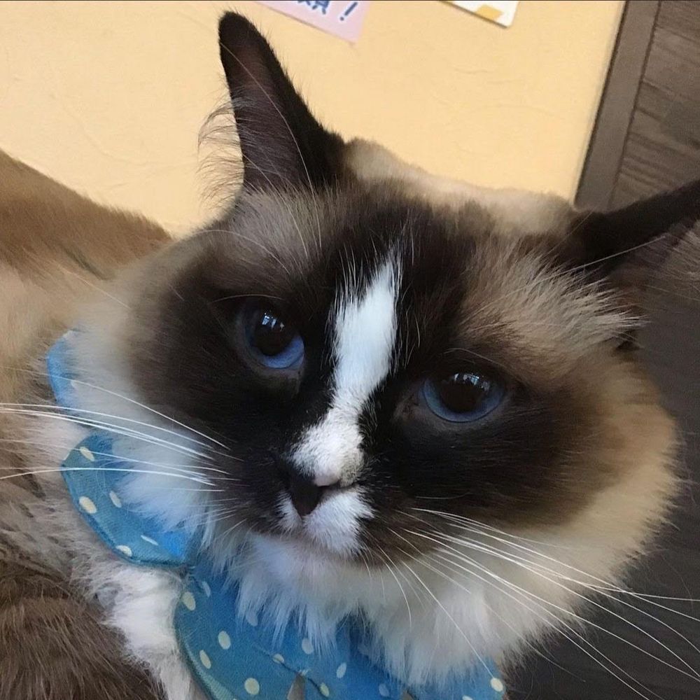 かんちゃん
