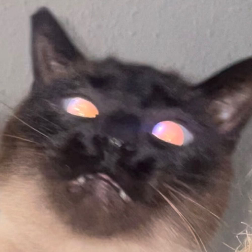 🧷