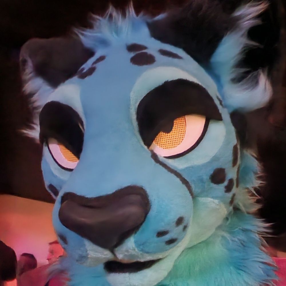 Polestar Cheetah | bikes and meows