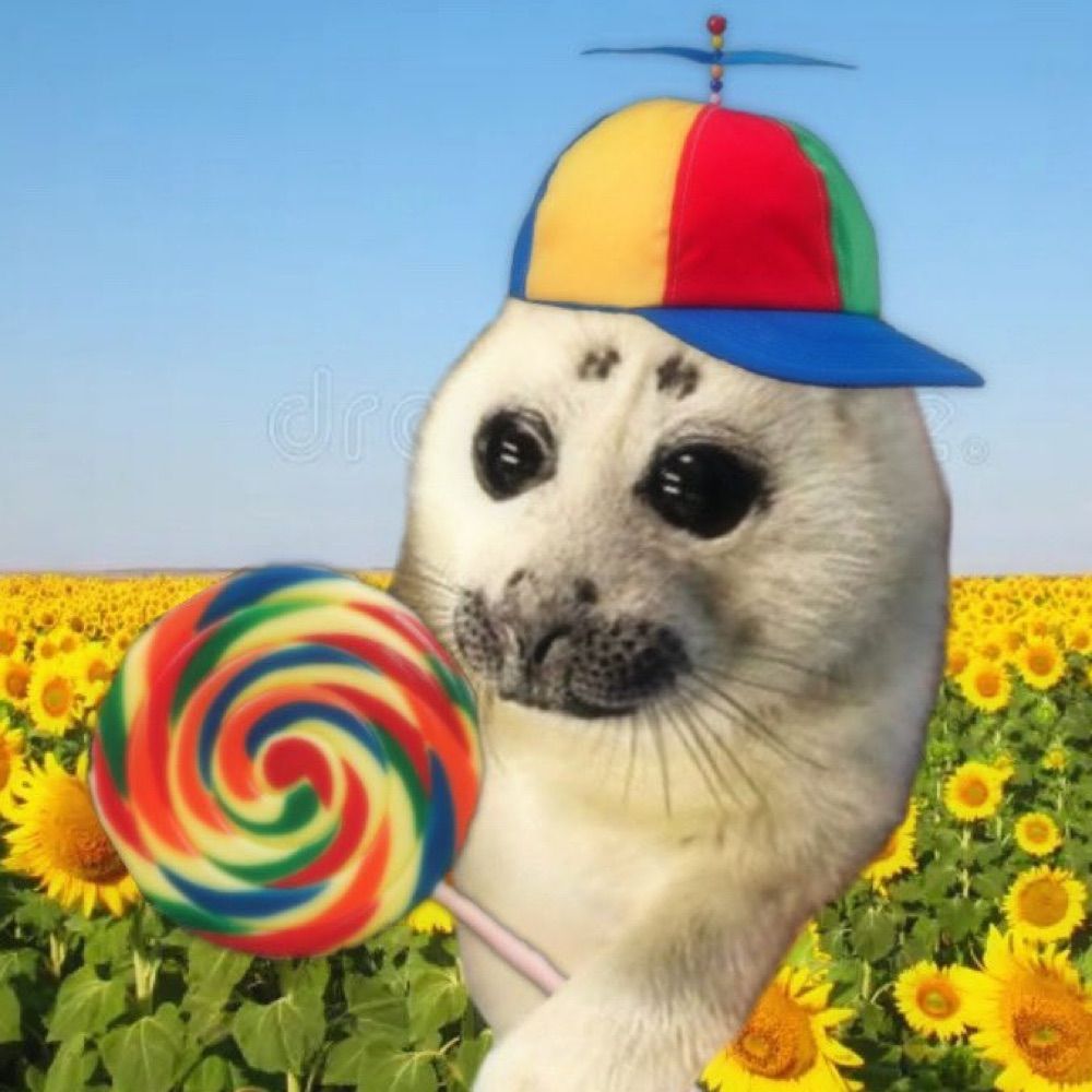 gliss 🍭🦭