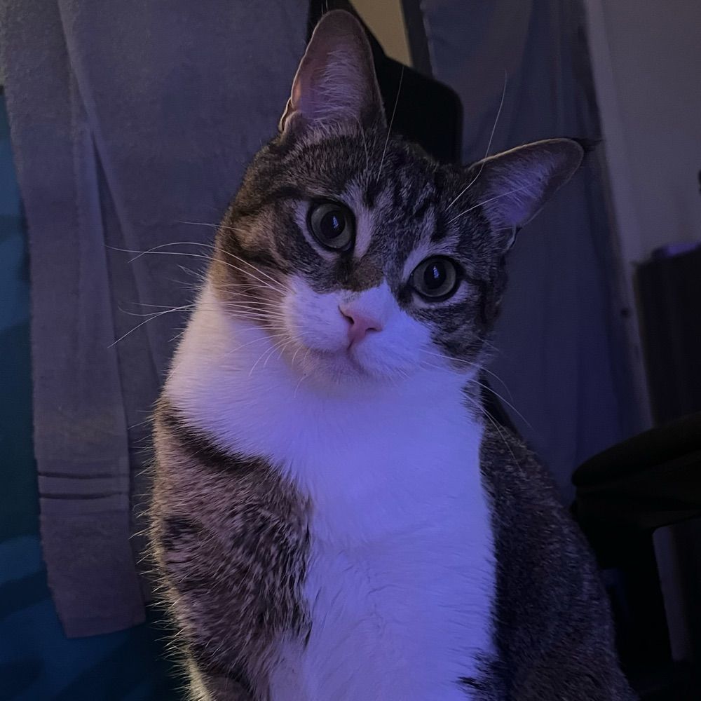 ari