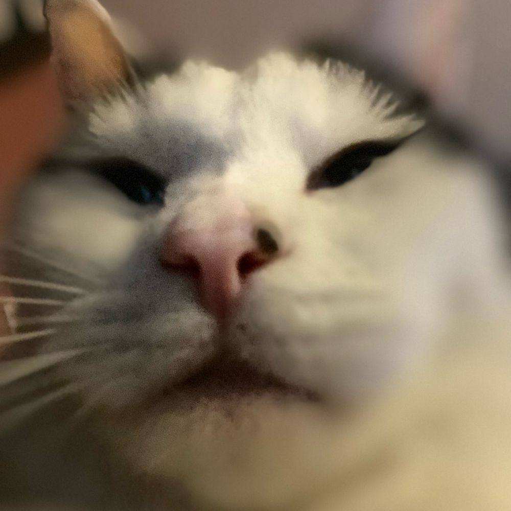 Áine