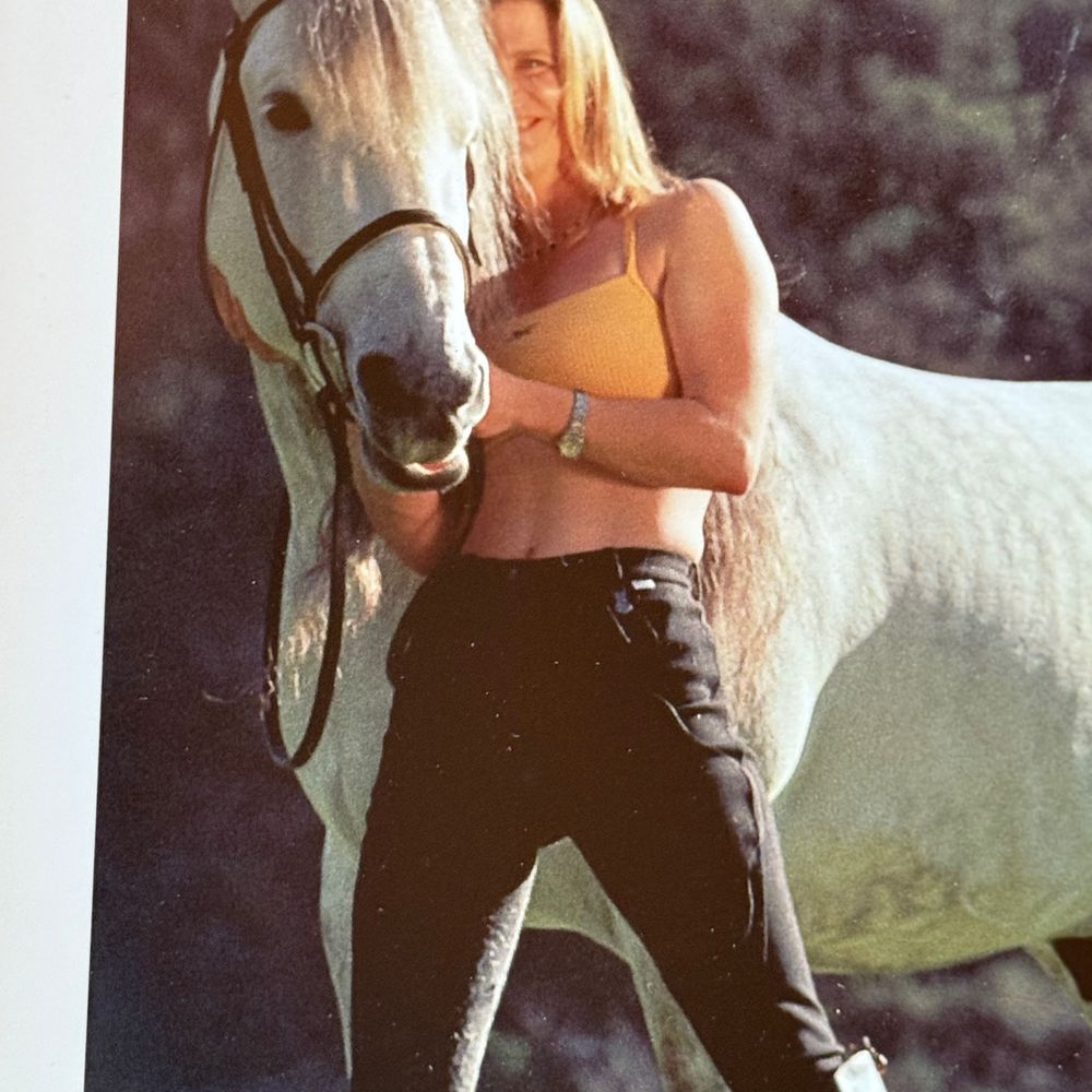 Take the Reins