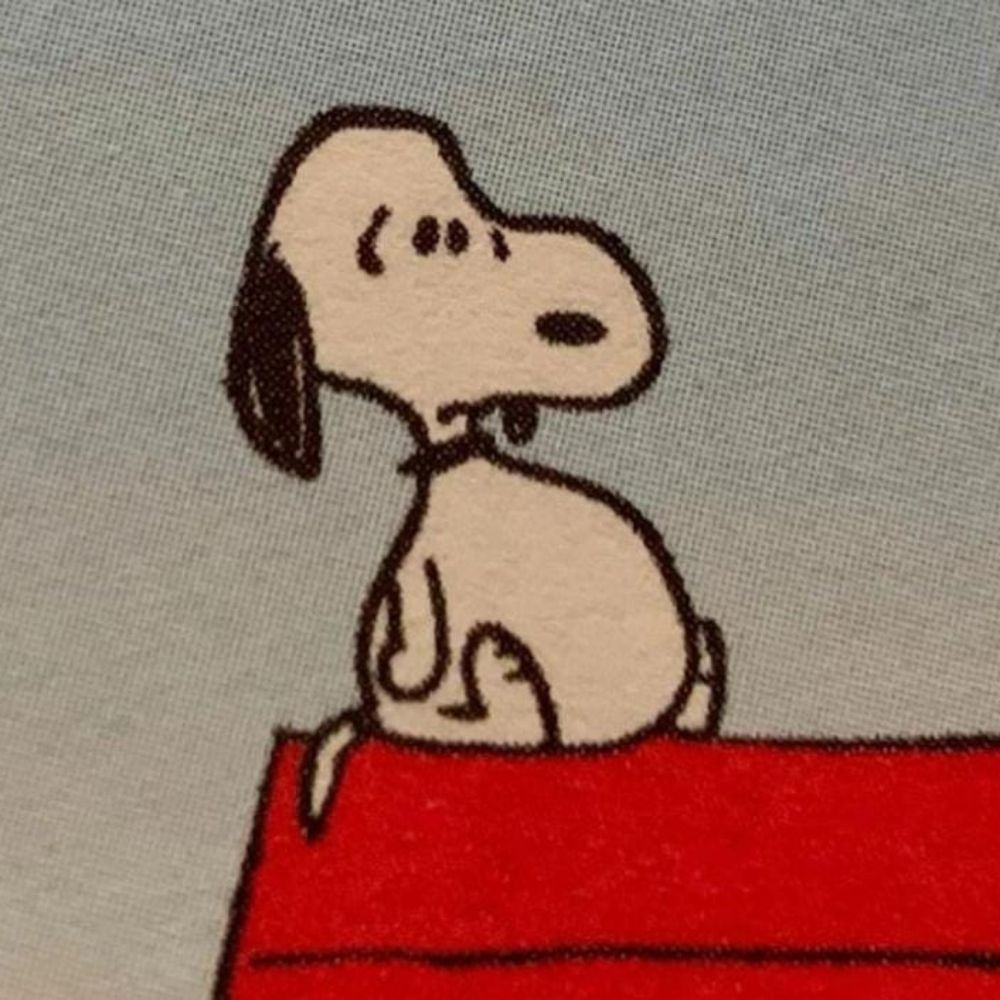 Ian 🧣