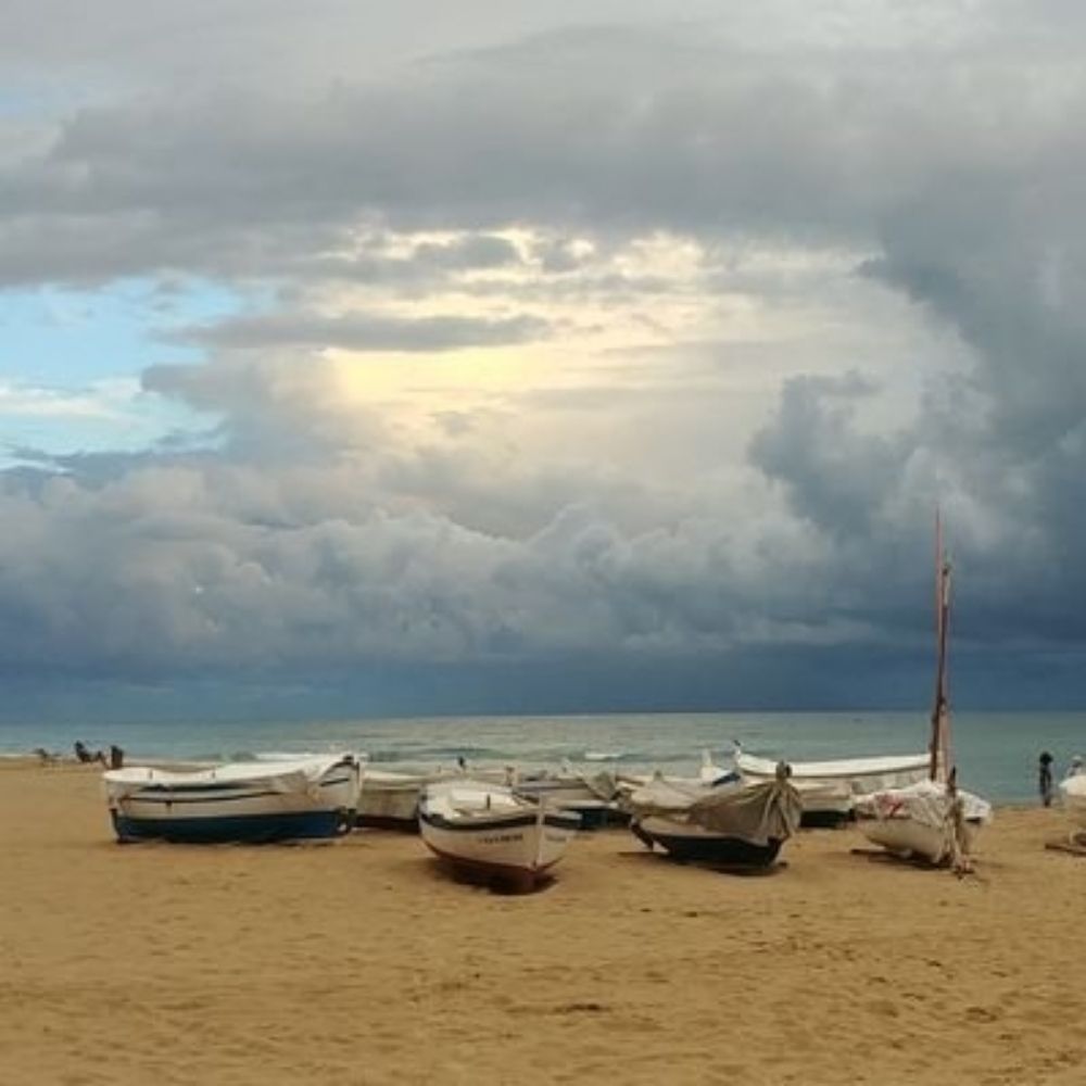 Xavier Mas M