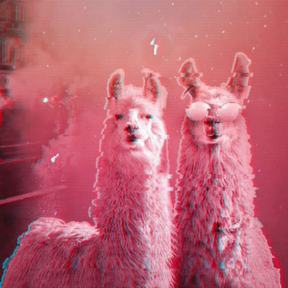 Lama - dehors le cocaïnomane présidentiel