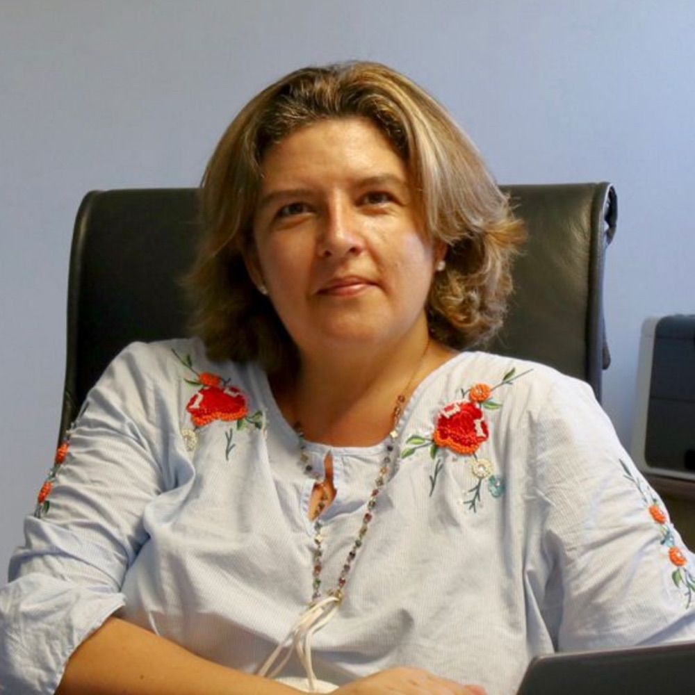M Carmen Balbuena