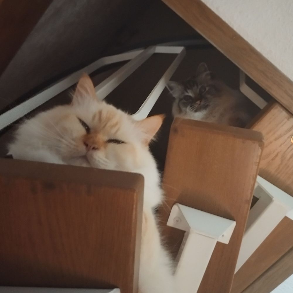Trouble