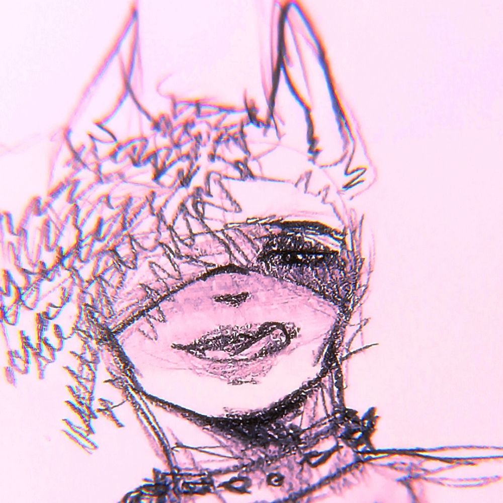 Insomnia