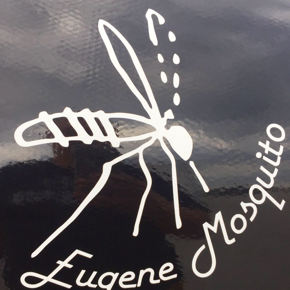 Mosquito