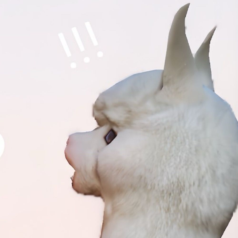 ໒꒱‪‪𓂃 𓈒𓏸◌‬