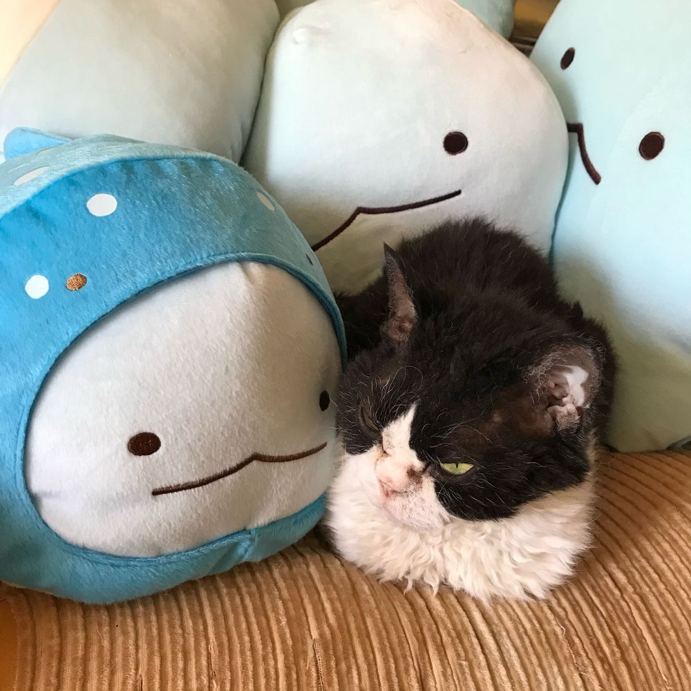 くさかべ