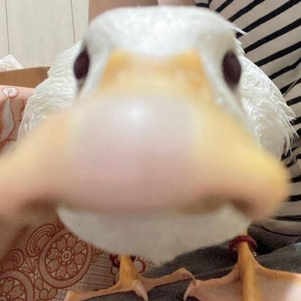 폭우