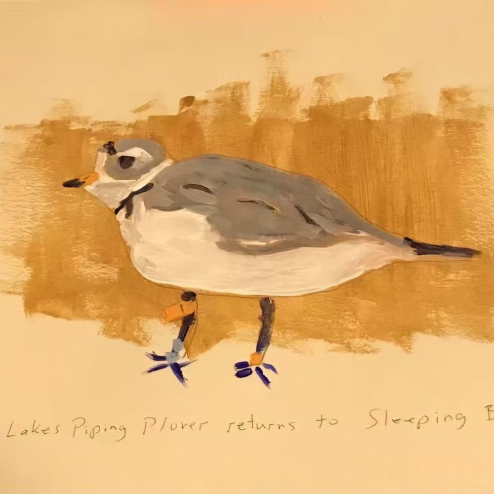 painter44.bsky.social profile picture