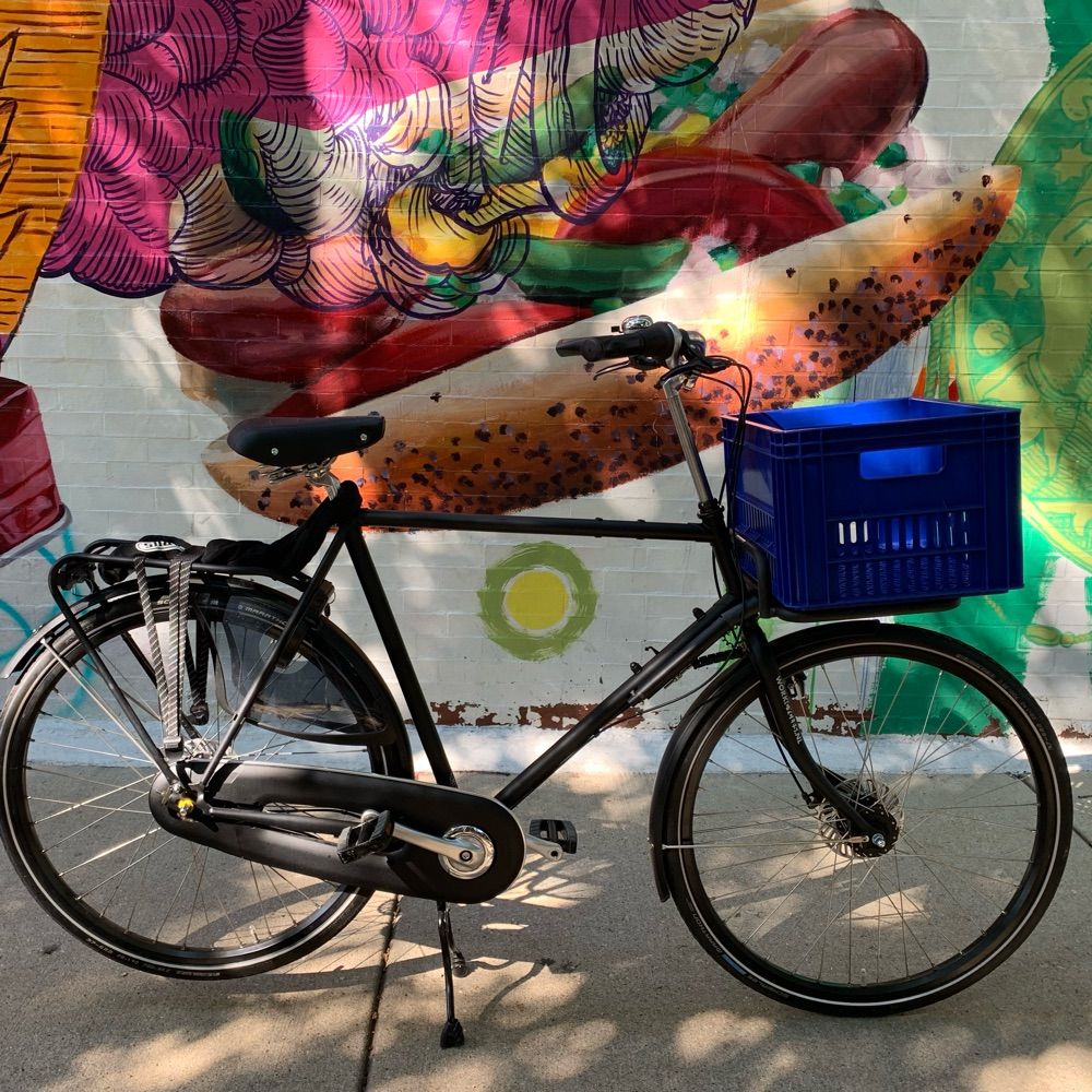 Chicago Fietser