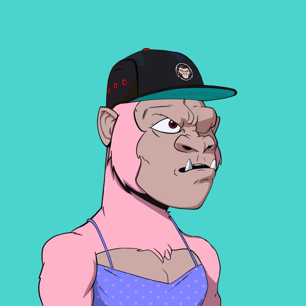 Kongsy