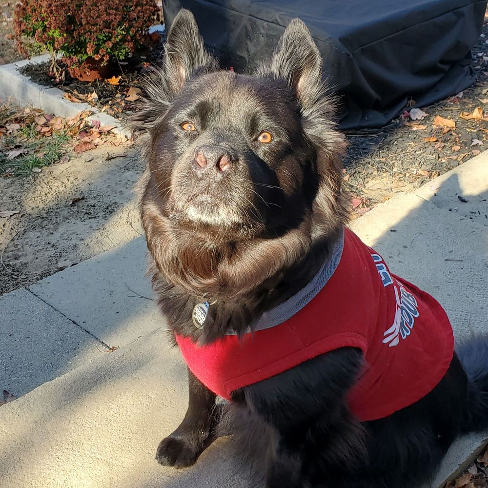 kayeadams.bsky.social