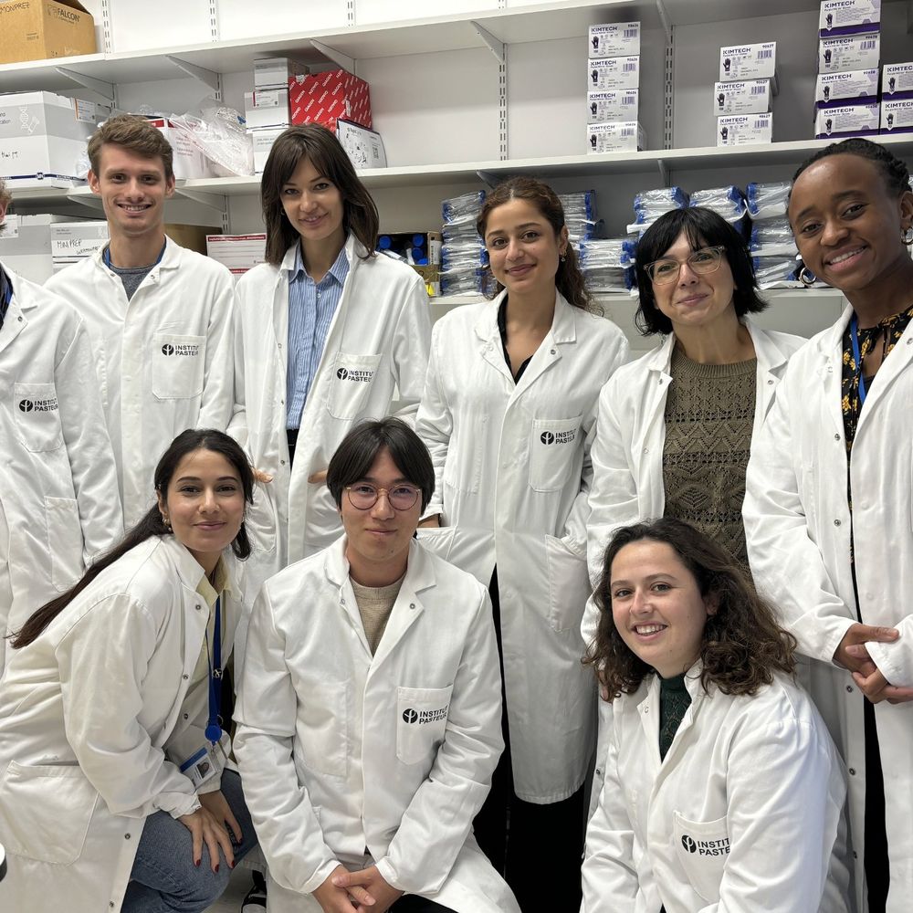 The Guermonprez Lab at Institut Pasteur Paris 