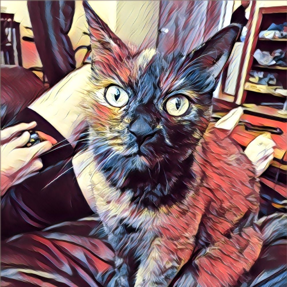 User avatar